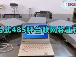 多秤臺同時稱重+分類稱重數據管理485通訊