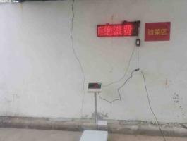 食堂驗菜監控錄像查驗 電子秤+大屏幕各所安裝現場展示